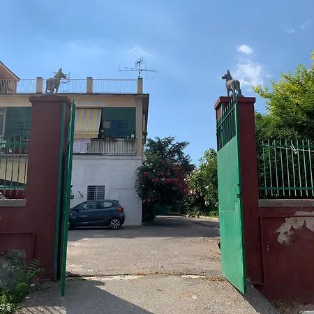 Vitiello توري أنونزياتا