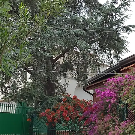 Vitiello فندق مبيت وإفطار *